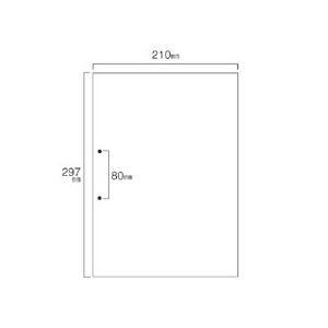 （まとめ）TANOSEE スマイル用LBP用紙A4汎用白紙 分割なし 2穴 1箱(500枚) 〔×2セット〕 代引不可