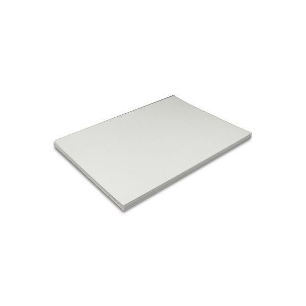 王子製紙 ミラーコートプラチナ A3Y目256g 60036-26 1セット(500枚) 代引不可