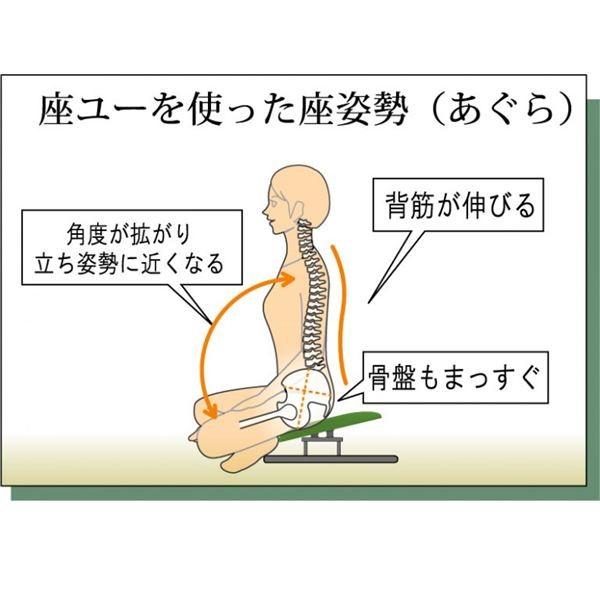 あぐら椅子/正座椅子 〔モスホワイト×ブラック〕 幅50cm 耐荷重80kg 日本製 スチール 『座ユー』 〔リビング〕 代引不可｜recommendo｜03