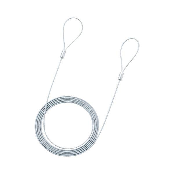 (まとめ) サンワサプライ eセキュリティ ワイヤー2.2mm×2.0m SLE-11W-2 1本 〔×30セット〕 代引不可
