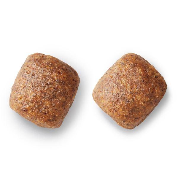 まとめ プロマネージ グレインフリー 成犬用 リコメン堂 高たんぱくレシピ チキン 中粒 1 4kg 中粒 ペット用品 犬フード 6セット リコメン堂 成犬用 通販