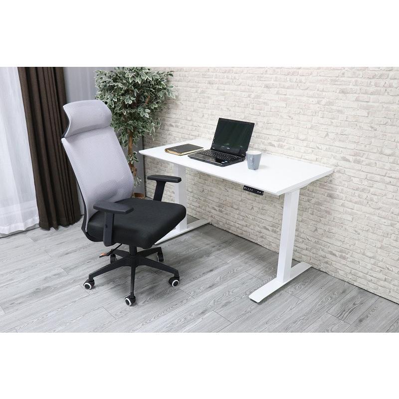 電動昇降デスク 120cm×60cm メモリ機能付き 電動昇降デスク 120×60cm メモリ機能付き オフィスデスク