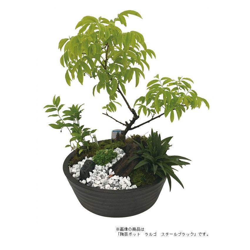 【値下げ】 陶芸ポット ラルゴ ガーデンパン プランター ユニソン ガーデニング 家庭菜園 園芸用品 野菜 おしゃれ 鉢 代引不可 【VQ1996886492】(11700円)