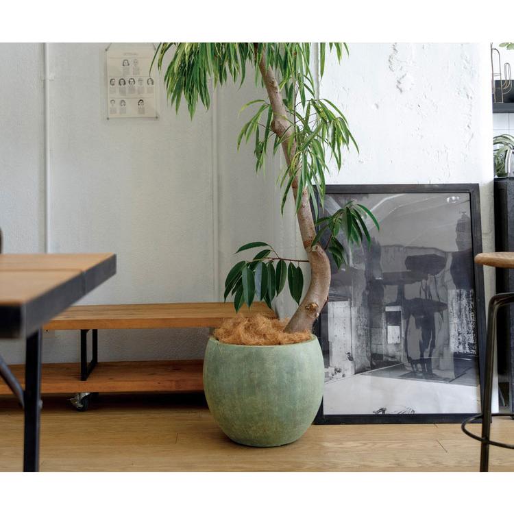 ユニソン バンドール ラウンド450 カッパーグリーン 植木鉢 鉢 かわいい おしゃれ 木 植物 観葉植物 ガーデニング 花 庭 お花 花壇 花台 可愛い 北欧 代引不可_1