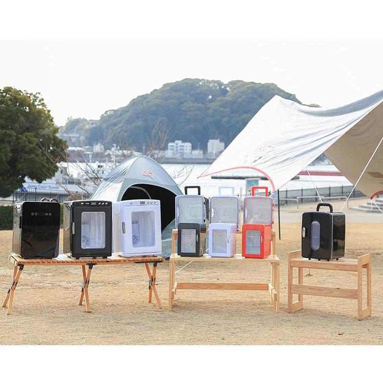12L 冷温庫 冷蔵庫 保冷庫 ポータブル ミニ ペルチェ 小型 ポータブル