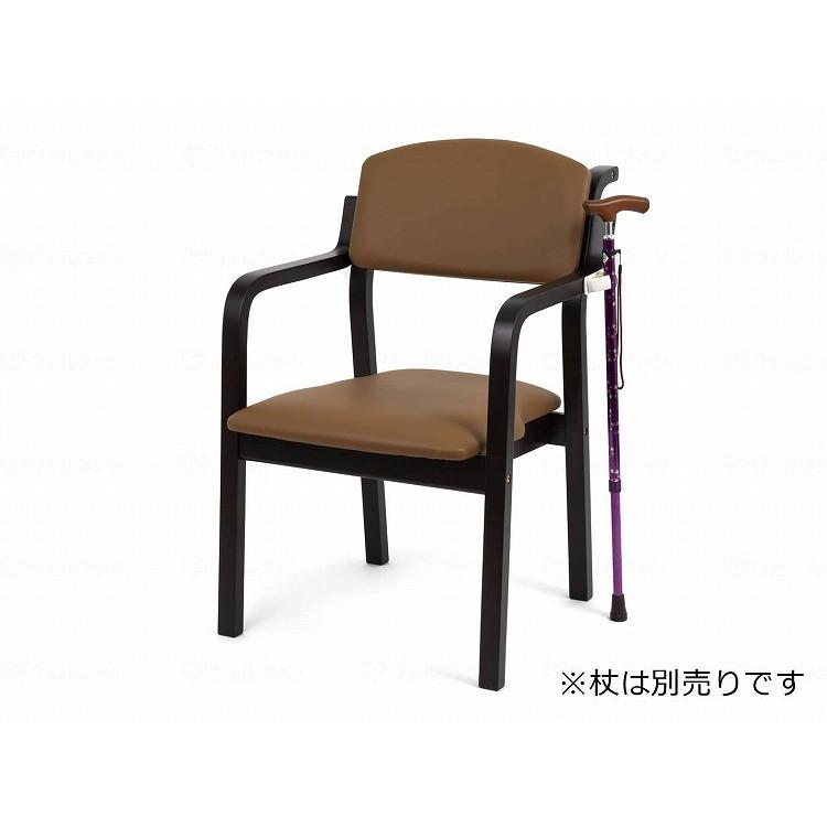1脚 オフィス・ラボ エコノチェア ウッディ コーティングなし/ダーク 