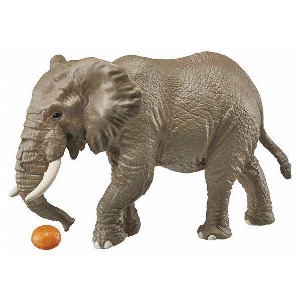 アニア AS-02 アフリカゾウ オレンジ付き タカラトミー 玩具 おもちゃ