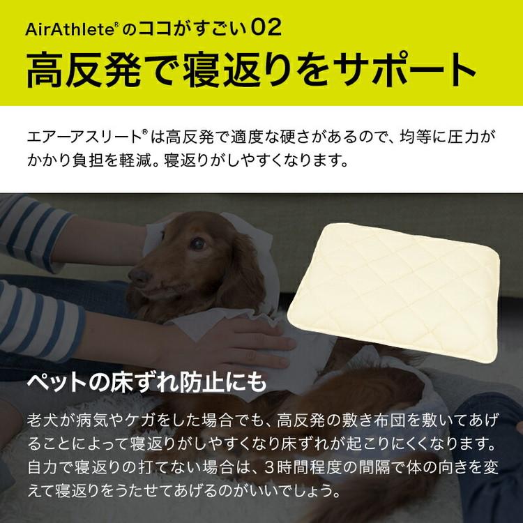 洗えるペット用敷布団 エアーアスリート 立体構造素材使用 LL 125×95cm ペットマットレス 通気性 高反発 洗える 丸洗い 速乾性 水洗い ペットマット 代引不可の画像