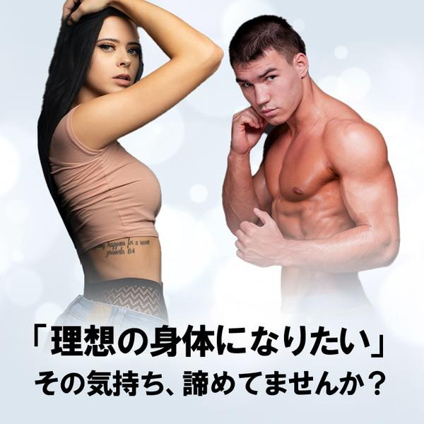 公式販売店 ファイティングロード ダンベルセット ラバータイプ 公式販売店 ファイティングロード ダンベルセット ラバータイプ