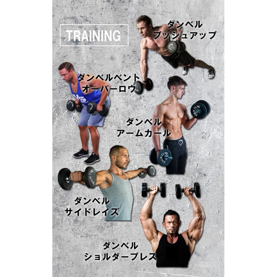 公式販売店 ファイティングロード ダンベル 片手 20kg × 2個 公式販売店 ファイティングロード ダンベル 片手 20kg × 2個