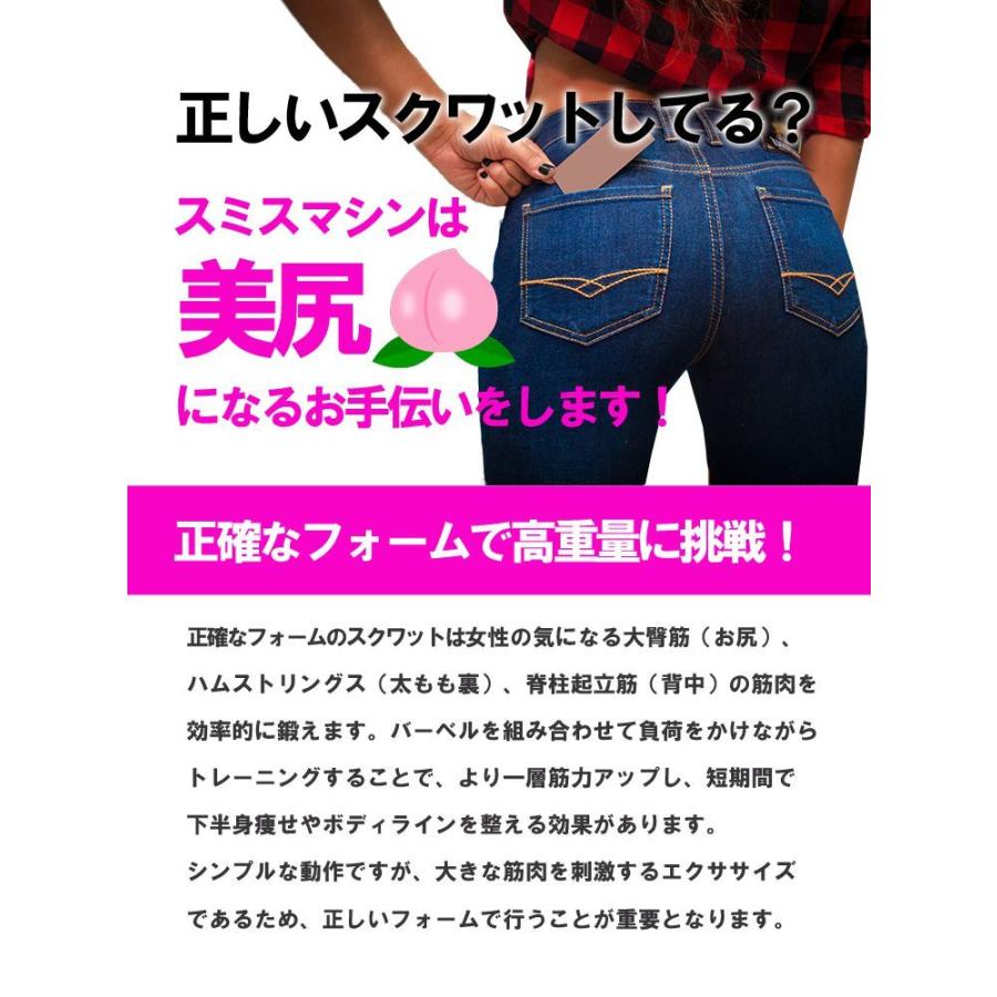 ファイティングロード スミスマシーン TRUST パワーラック 専用 