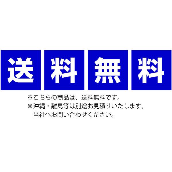 フクシマガリレイ （新品）フクシマガリレイ リーチイン冷凍ショー