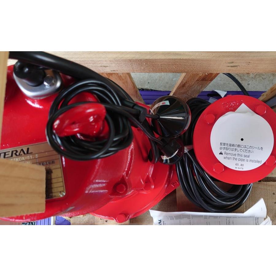 TERAL テラル カッター付排水水中ポンプ