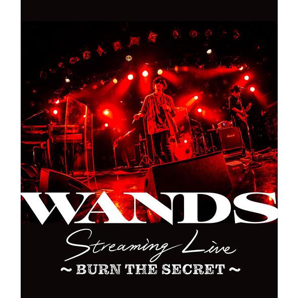 優良配送 Blu-ray WANDS Streaming Live BURN THE SECRET : Disc