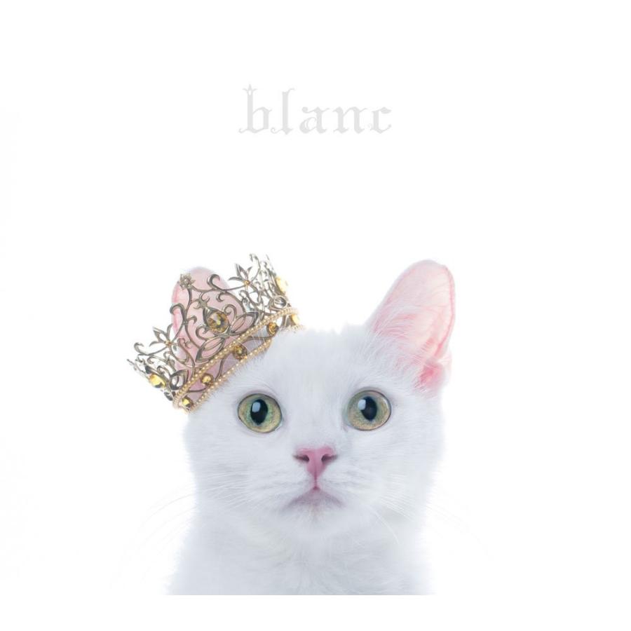 廃盤 Aimer BEST SELECTION blanc 初回生産限定盤B CD+DVD エメ ベスト