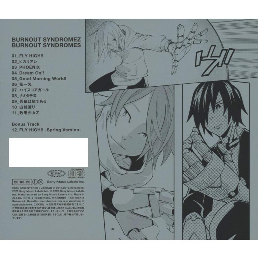 優良配送 BURNOUT SYNDROMES CD BURNOUT SYNDROMEZ 通常盤 バーンアウト・シンドロームズ PR｜red-monkey｜02