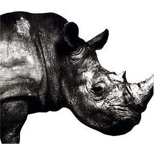 新品 送料無料 Cd Mr Children 1992 1995 Best Of ミスターチルドレン 桜井和寿 ミスチル 価格4 04 Disc Shop Suizan 通販 Yahoo ショッピング