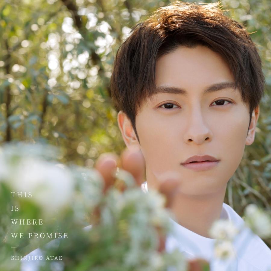 新品 CD 與真司郎 THIS IS WHERE WE PROMISE 通常盤 SHINJIRO