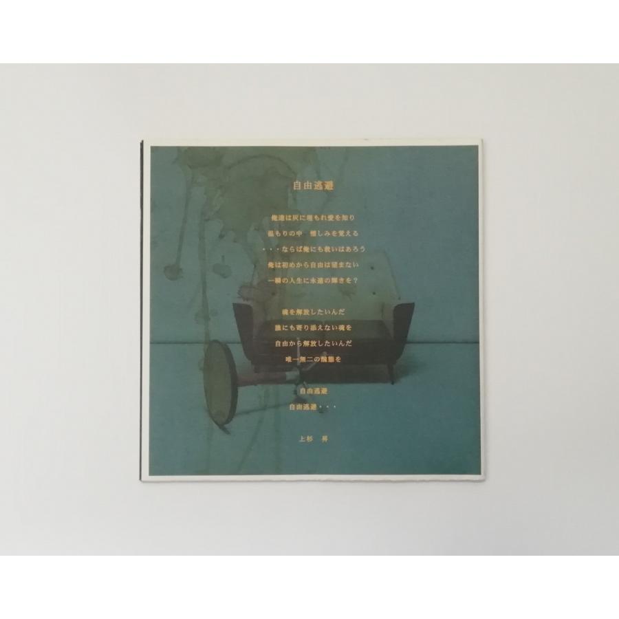 al.ni.co ファンクラブ会報 vol.4 アルニコ WANDS 上杉昇 柴崎浩 PR