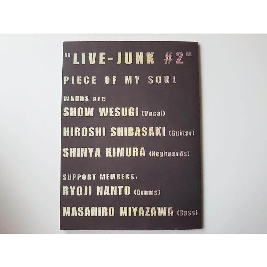 優良配送 (USED品/中古品) WANDS LIVE-JUNK 2 ツアーパンフレット 専用