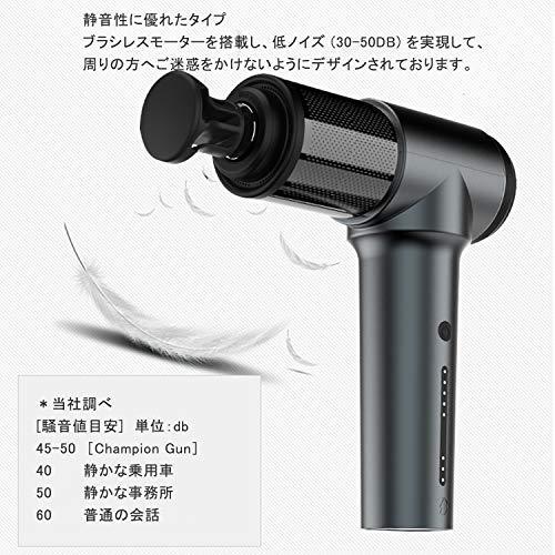 登場 Championgun チャンピオンガン パワー型 グレー 5段階レベル 静音設計１年間保証 軽量便利 健康家電 Petrozoenergy Com