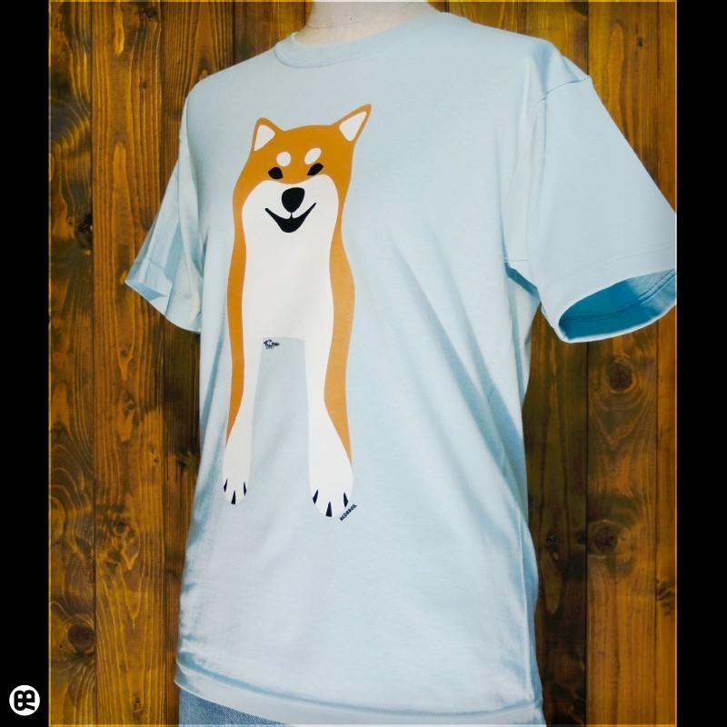 Shiba Inu(FS)：フロストスカイ：Tシャツ｜redbros｜03