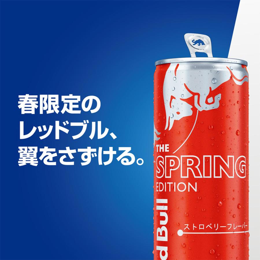 レッドブル \15%OFFクーポン対象 4/27まで/公式 エナジー レッドブル \15%OFFクーポン対象 4/27まで/公式 エナジー