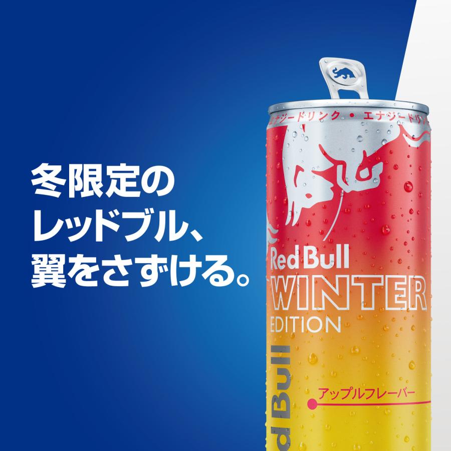 公式 レッドブル エナジードリンク ウィンターエディション 250ml ×48本 (24本×2ケース)送料無料 Red Bull アップル味 アップルフレーバー 栄養ドリンク | レッドブル | 02