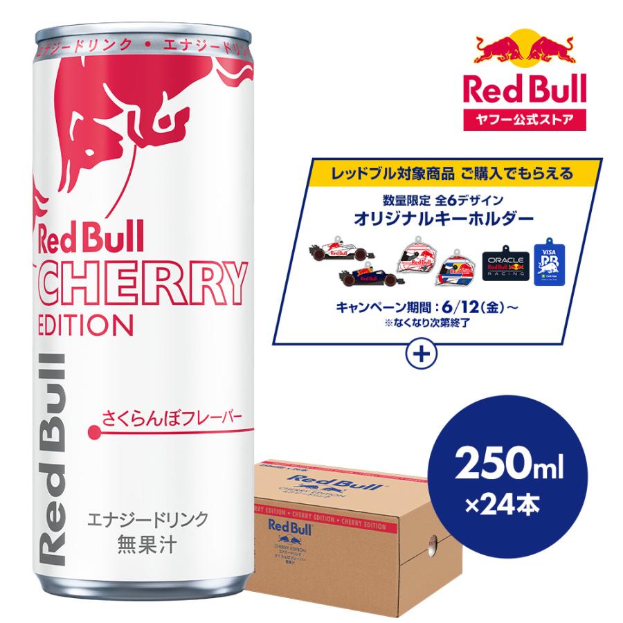レッドブル（RedBull） ＼10％OFFクーポン対象 6/15まで／公式