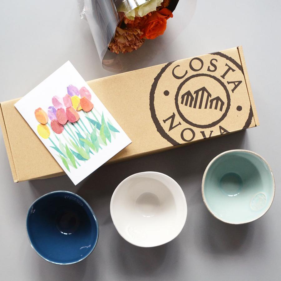 コスタノバ ギフトボックス ミニボウル3個用 【 COSTA NOVA