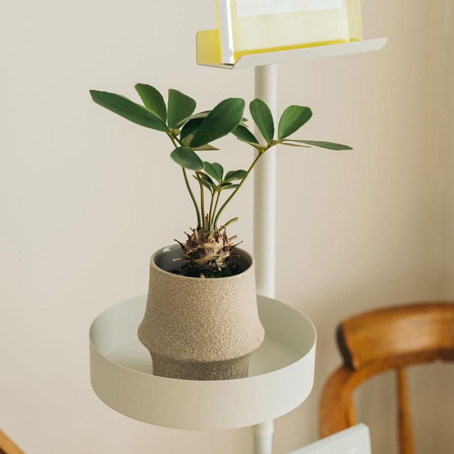 DRAW A LINE Tray 019( ドローアライン トレイ トレー 縦専用 突っ張り