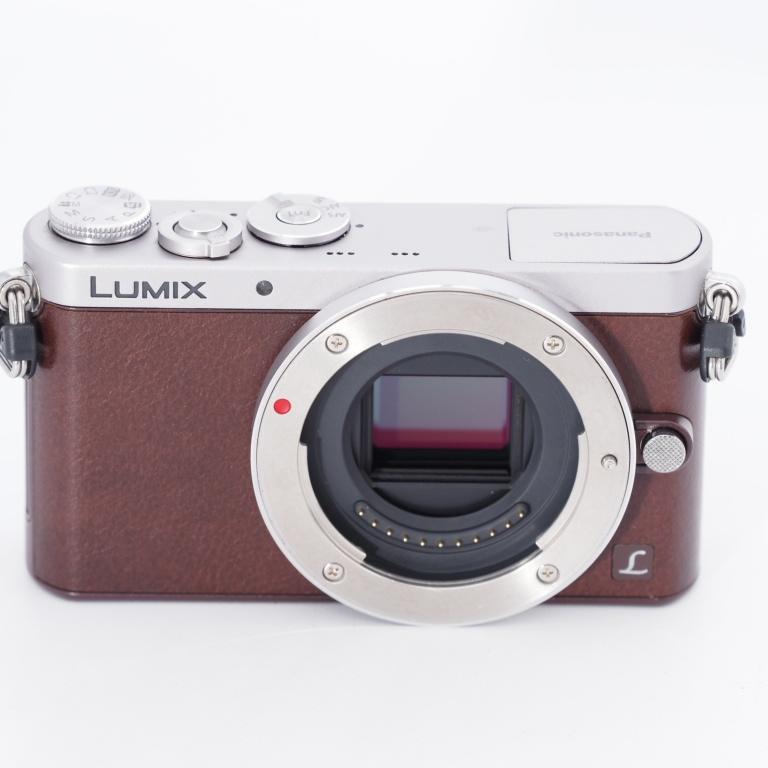 Panasonic パナソニック ミラーレス一眼カメラ ルミックス GM1 