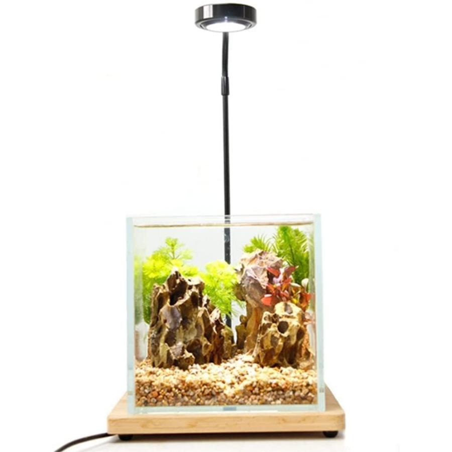 水槽照明 アクアリウムライト Led 水槽ライト 7w 竹製 水槽 ベース 25cm 小型 金魚 水草 植物育成 熱帯魚 角度調節可能 照明 ライト本体 Www Smarttradzt Com