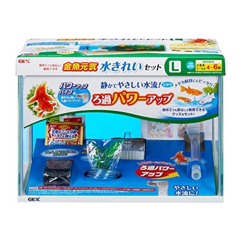 ジェックス 金魚元気 水きれいセット L Majesticxpress Com