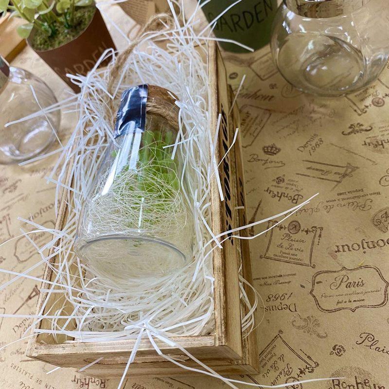 Off 紙パッキン ラッピング材 父の日 メッセージ入り おしゃれ ペーパークッション 送料無料 Riosmauricio Com