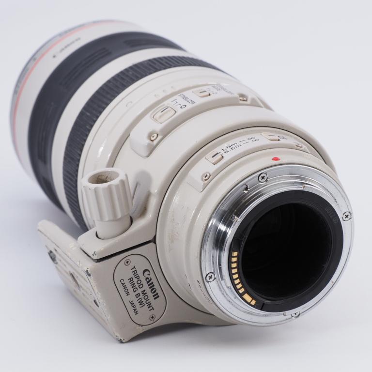 Canon キヤノン 望遠ズームレンズ EF100-400mm F4.5-5.6L IS USM フルサイズ対応 #8773｜reddingstore｜05