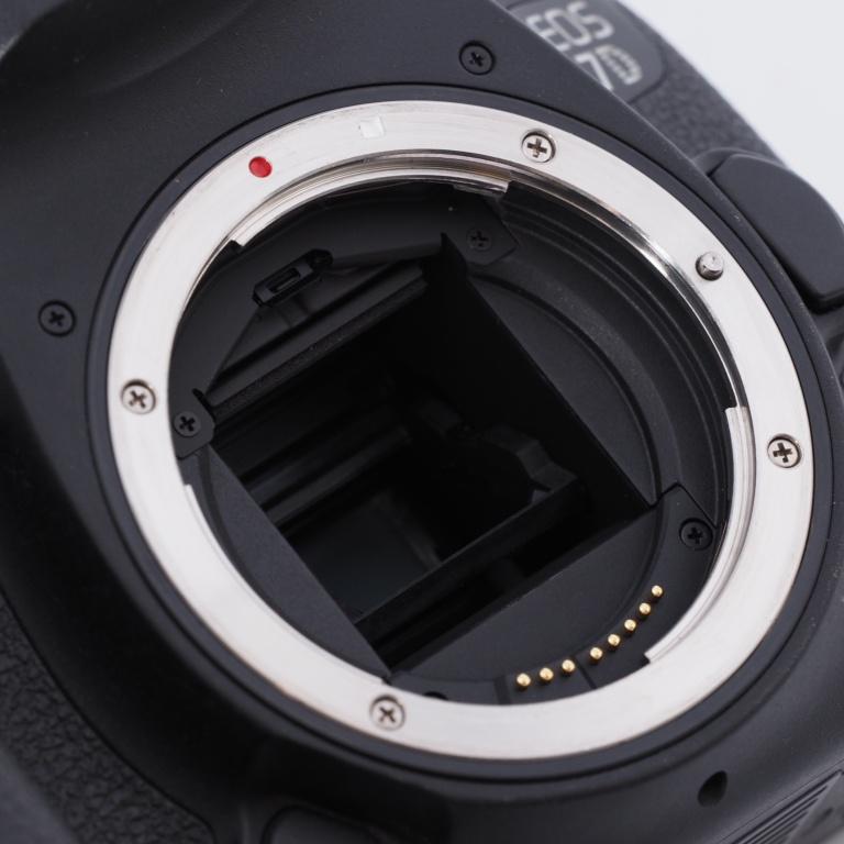 Canon キヤノン デジタル一眼レフカメラ EOS 7D Mark IIボディ EOS7DMK2 #8893｜reddingstore｜10
