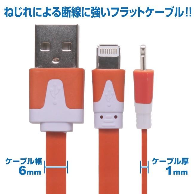 iPhone11/X/8/7/6/5シリーズ対応 フラットケーブル 60cm カラフル10
