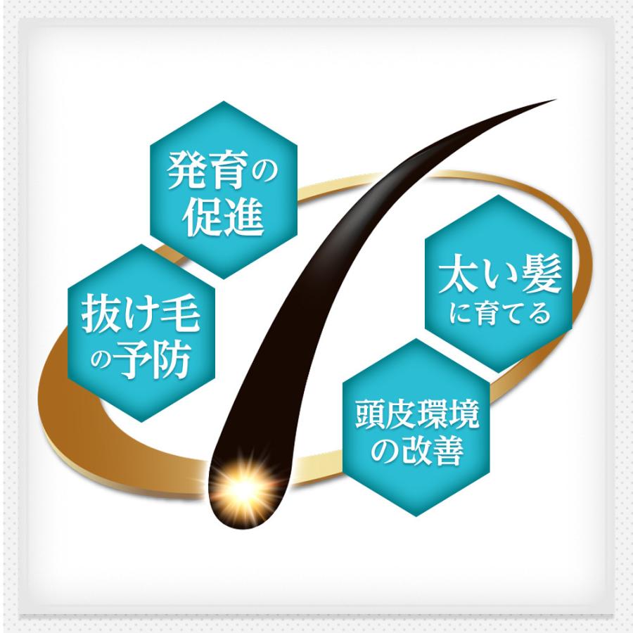 REDEN ヘアトニック 2本セット REDEN ヘアトニック 2本セット REDEN 【枚数限定クーポン発行中