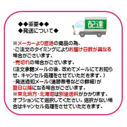キッズ用ランニングバイク GO!RIDER(ゴーライダー) スタンド付き 足