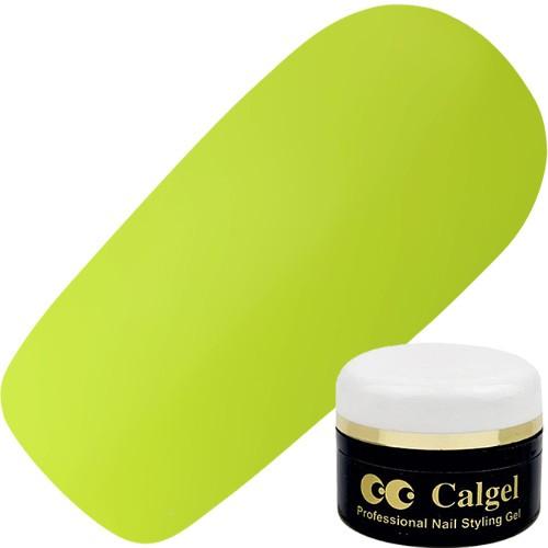 ジェルネイル カラージェル カルジェル Calgel カルジェルカラー4g ピスタチオグリーン ジェルネイル カラージェル Www Npattorney Com