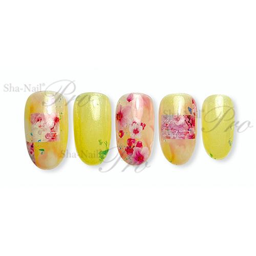 写ネイル Sha Nail AYAKO先生コラボ S/S /エスエス お取り寄せ ネコポス シャネイル しゃねいる ネイルシール｜rednails｜04