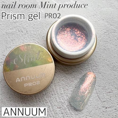 アニューム ANNUUM  nail room Mint produce プリズムジェル3g PR02 ネコポス｜rednails