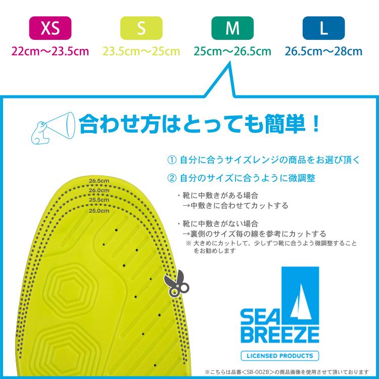 SHISEIDO（資生堂） インソール 中敷き 冷感 涼しい 衝撃吸収 SEA 