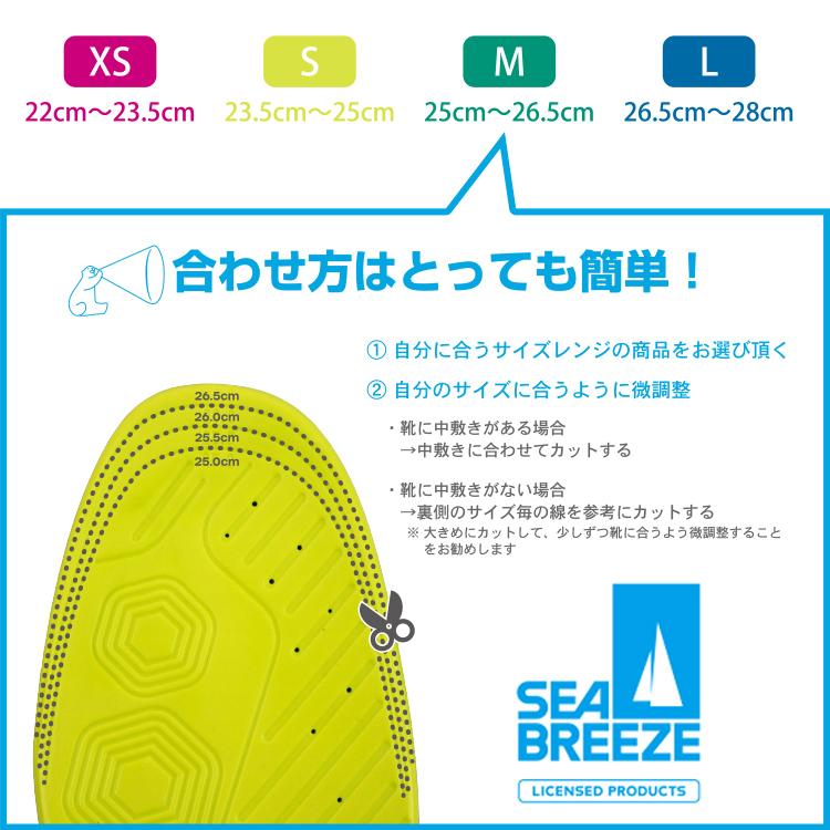 SHISEIDO インソール 中敷き 冷感 涼しい 衝撃吸収 SEA BREEZE SHISEIDO インソール 中敷き 冷感 涼しい 衝撃吸収 SEA BREEZE