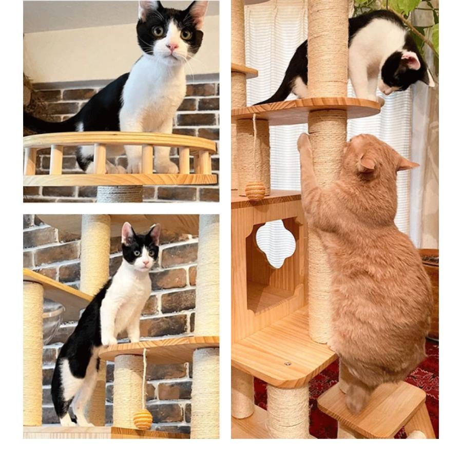 キャットウォーク　ボックス×2 ステップ×1 キャットステップ 猫ボウル ねこぞく キャット ツインタワー XYY-1