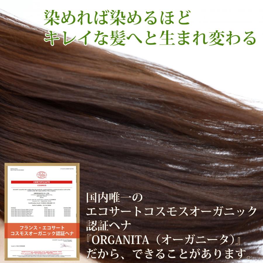 ヘナ オーガニータ ORGANITA サハラブラウン グリーンノート 100g