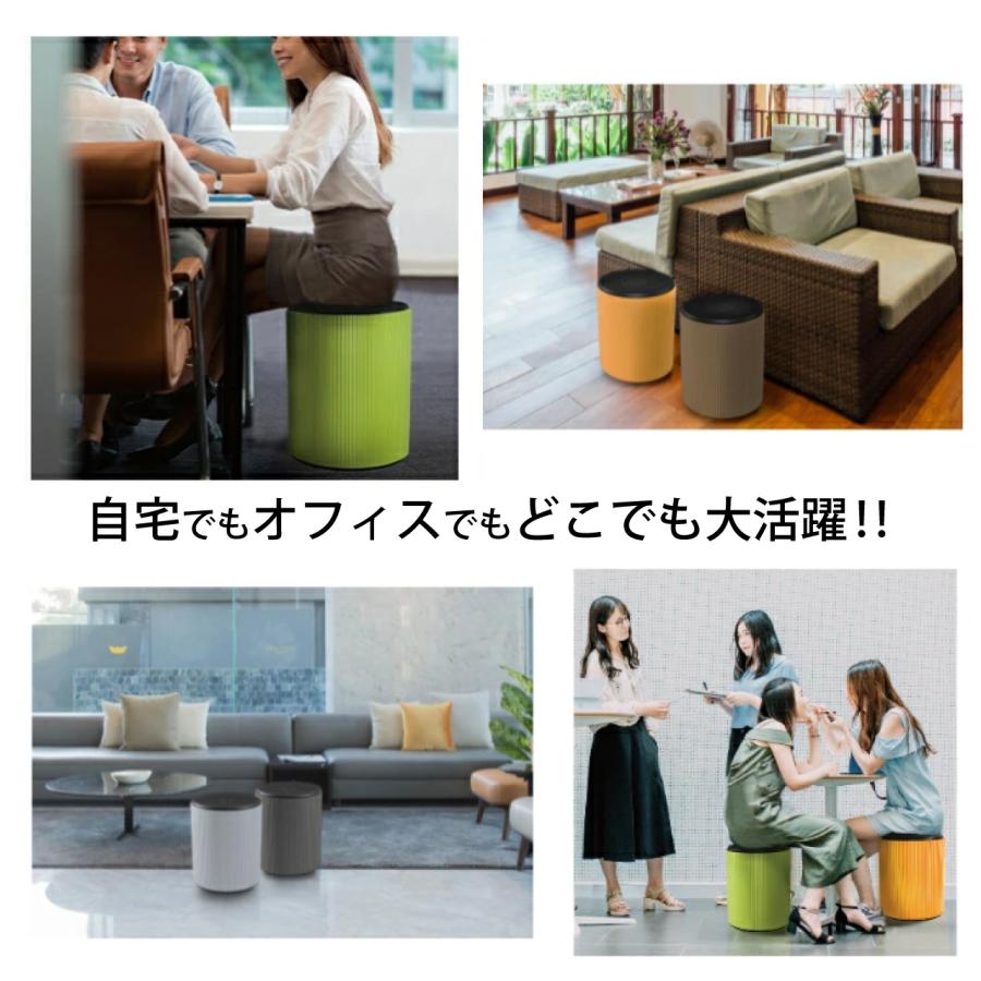 フィットネス チェア ワブリー WOBBLE ダイエット バランスチェア
