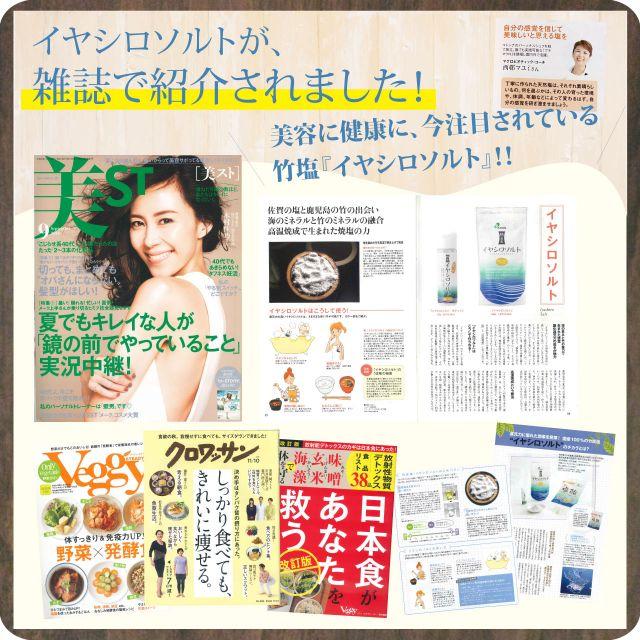 イヤシロソルト スタンドパック 240g×2袋 国産 竹塩 還元力 還元塩 食塩 焼塩 天然塩 ソルト 日本製 竹炭 調味料 おにぎり スキンケア |  | 04