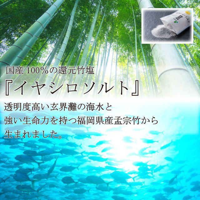 イヤシロソルト スタンドパック 240g×2袋 国産 竹塩 還元力 還元塩 食塩 焼塩 天然塩 ソルト 日本製 竹炭 調味料 おにぎり スキンケア |  | 05